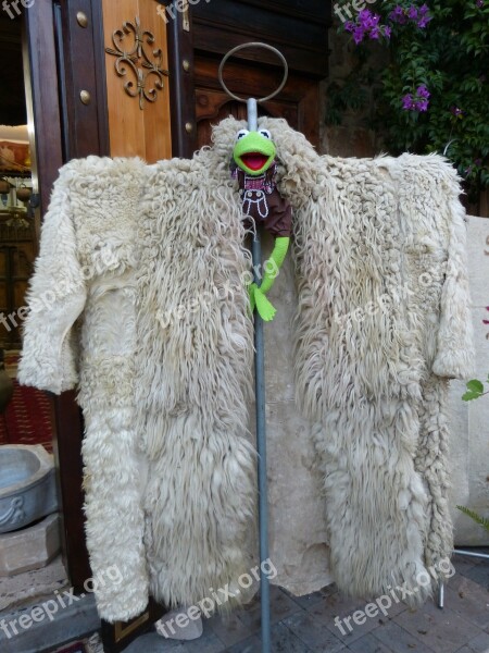 Kermit Frog Coat Anziee Large