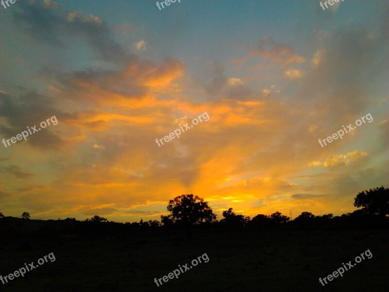 Solar Clouds Tree Free Photos