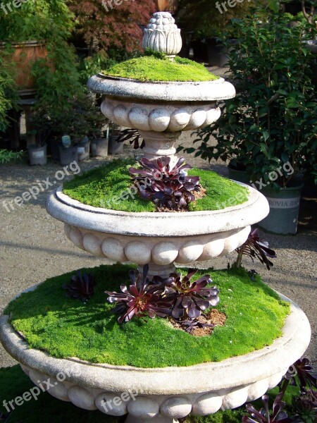 Garden Plant Plants Container Three Tier