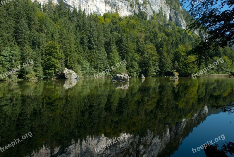 Austria Forest Trees Woods Lake