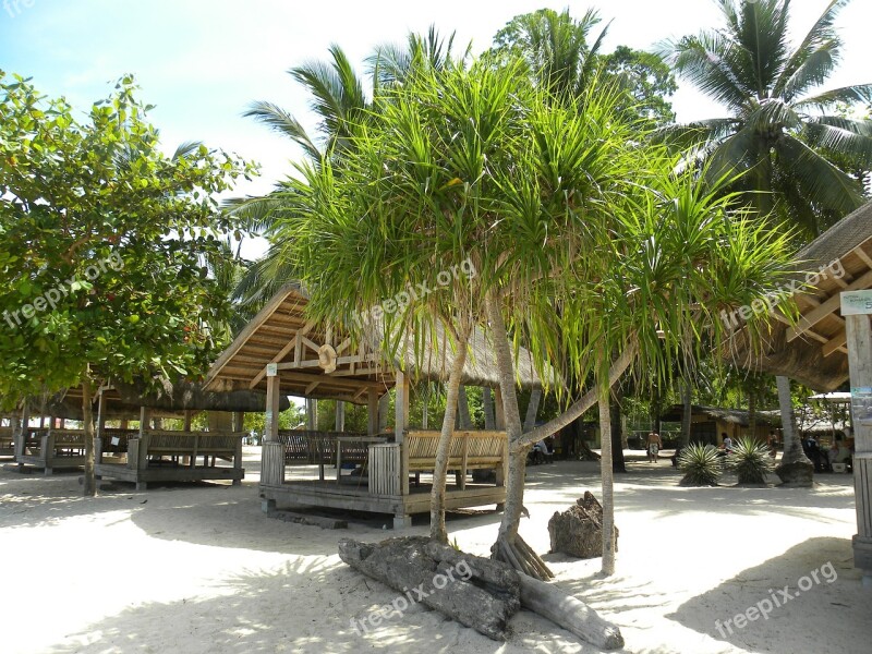 Beach Hut Palm Trees Beach Asia Palms