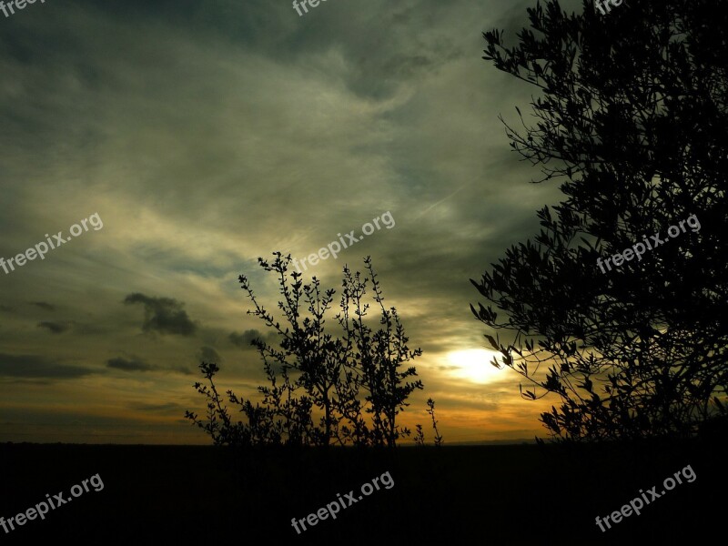 Sunset Field Winter Landscape Backlight