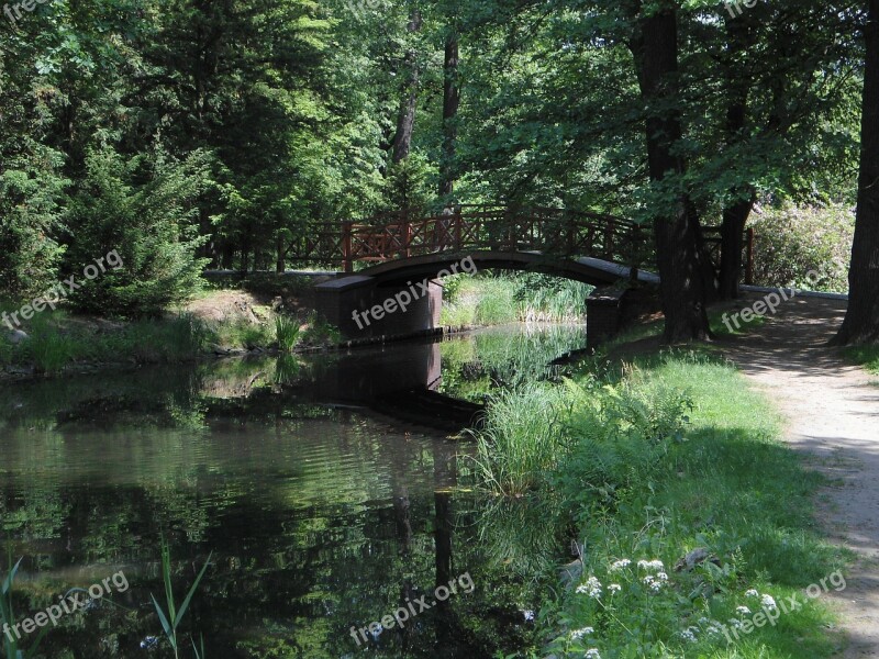 Nature River Green Water Bridge