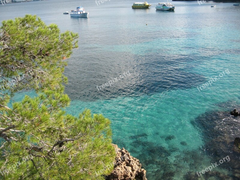 Mallorca Bay Nature Rock Tree