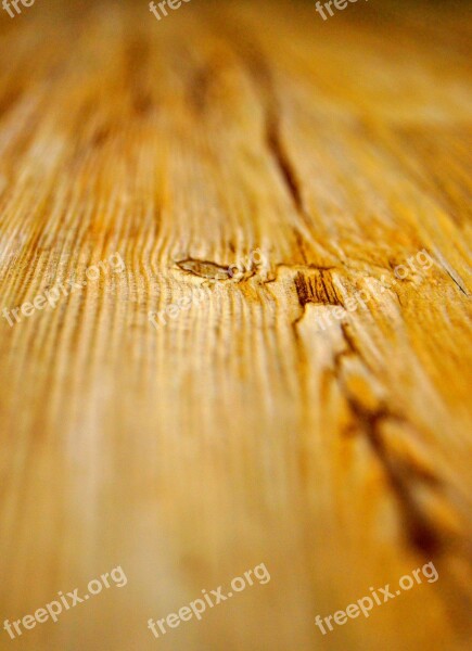 Wood Ground Plank Nature Background