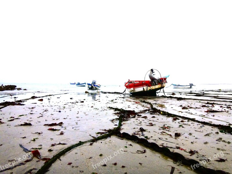 Brittany Fishing Boats Sea Fishing Boat