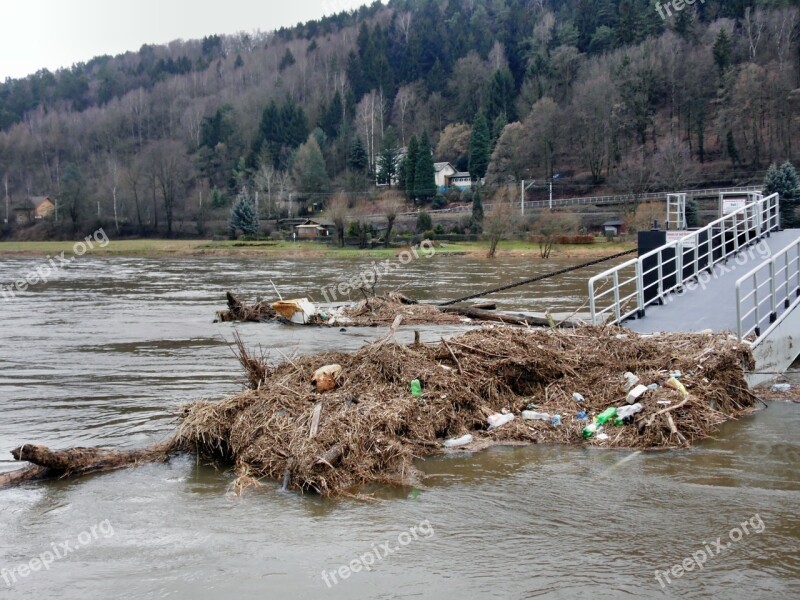 Elbe Flood Elbe Bad Schandau Germany Free Photos