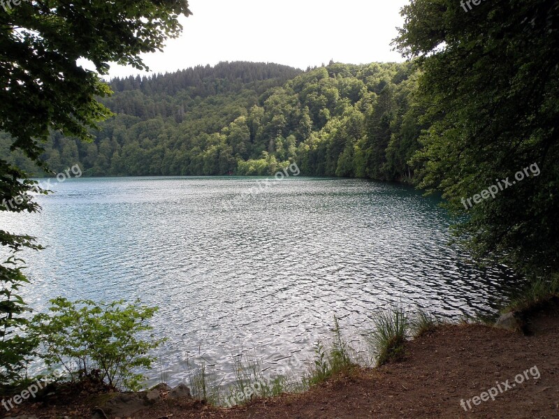 France Forest Woods Trees Lake