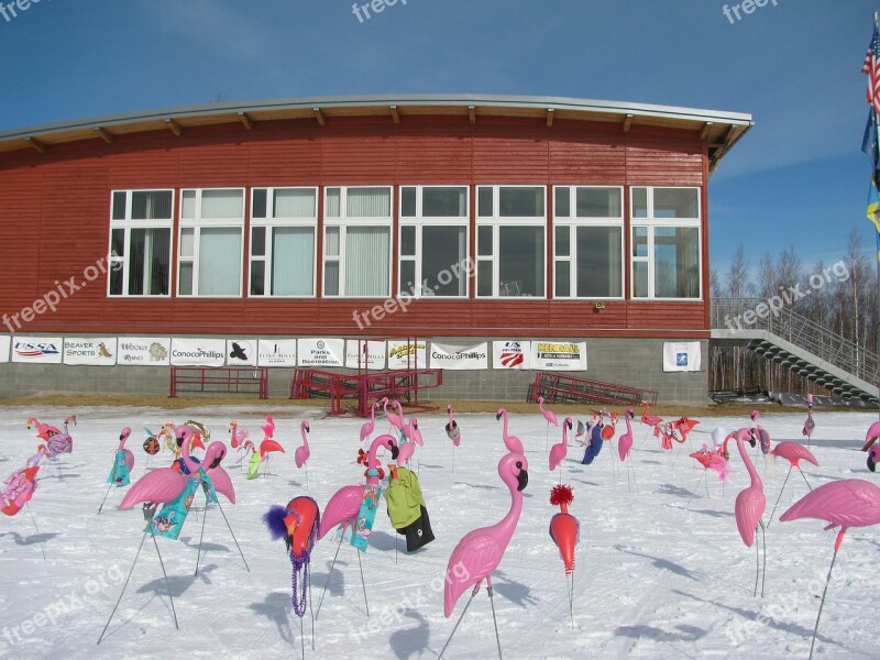 Fairbanks Alaska Building Ski Resort Winter