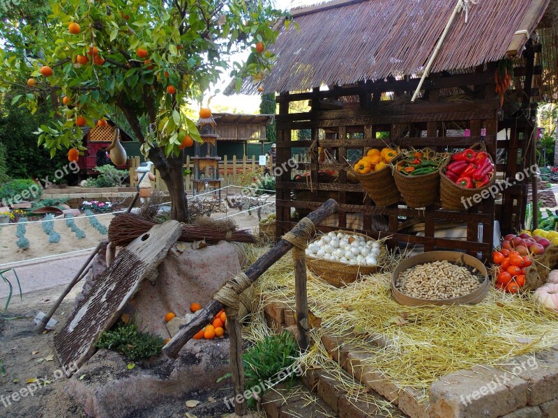 Xativa Spain Trees Stand Produce