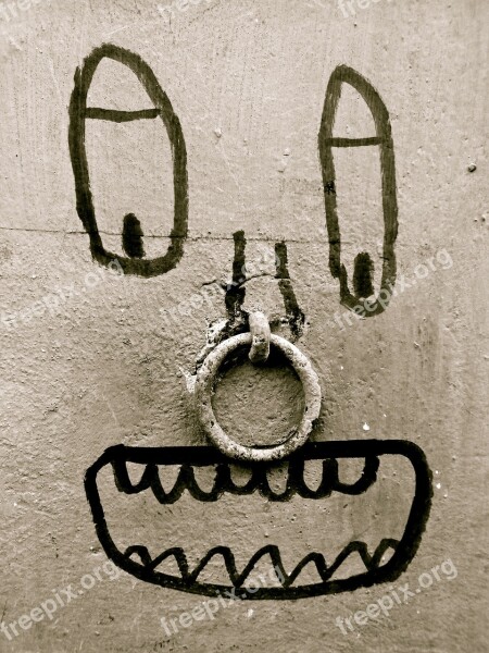 Fun Art Graffiti Wall Face