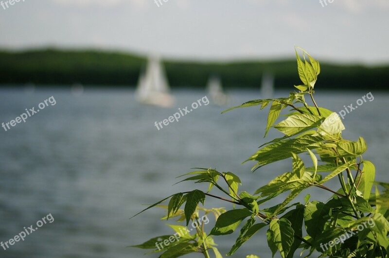 Summer Sail Water Blue Lake