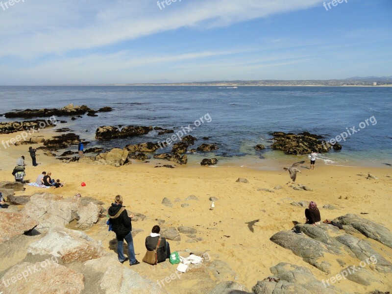 Monterey California Sea Ocean Water