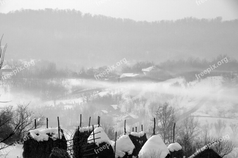 Mist Snow Morning Nature Winter