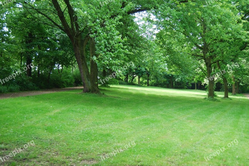 Park Parks Trees Green Free Photos