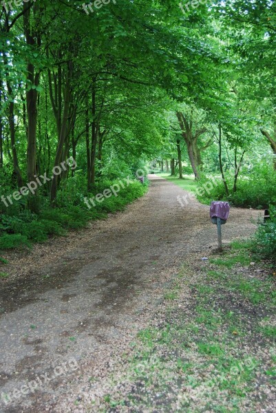 Away Parks Forest Path Forest Free Photos