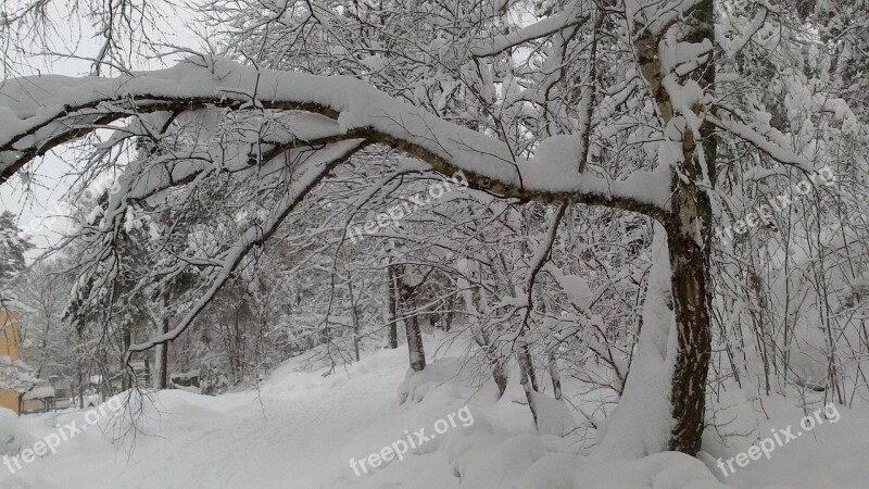 Stockholm Winter Snow Winter Dream Wintry