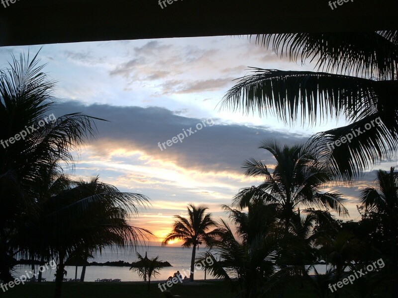 Mauritius Sunset Palm Trees Twilight Free Photos