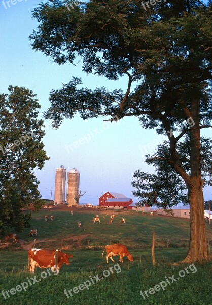 Wisconsin Landscape Farm Rural Rustic