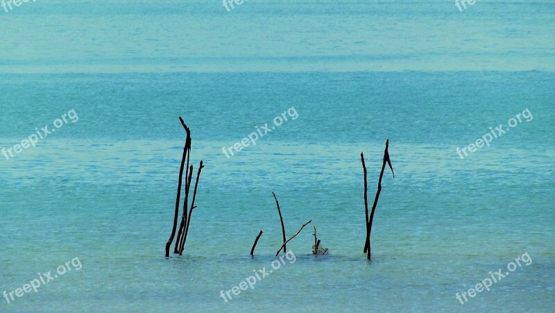 Mar Beach Water Bay Ocean