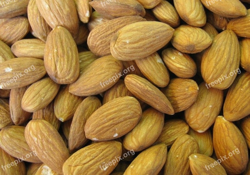 Almond Prunus Amygdalus Prunus Dulcis Amygdalus Communis Amygdalus Dulcis