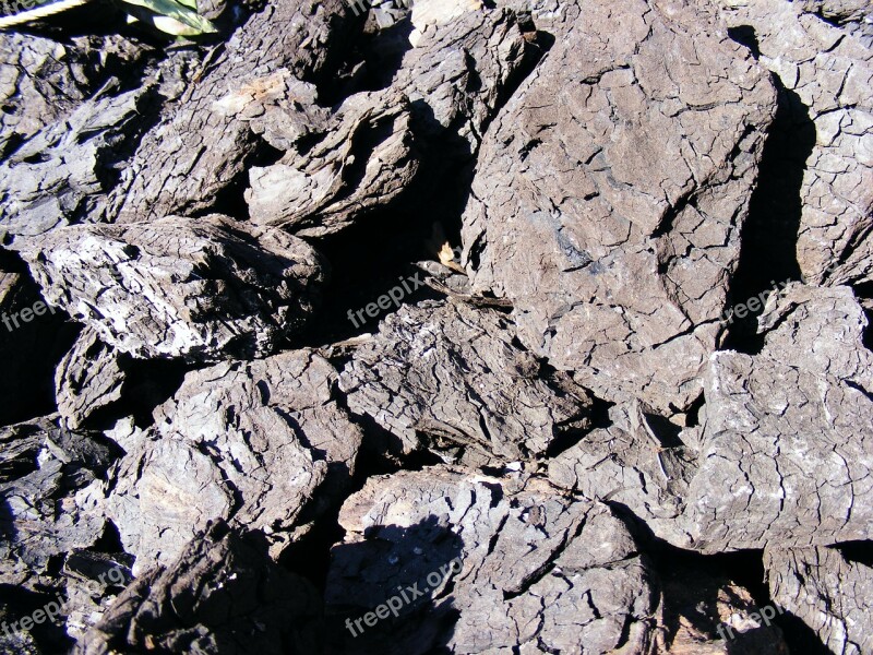 Black Btu Coal Combustible Lignite