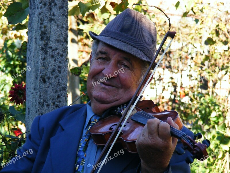 Gypsy Instruments Music Musicians Romania