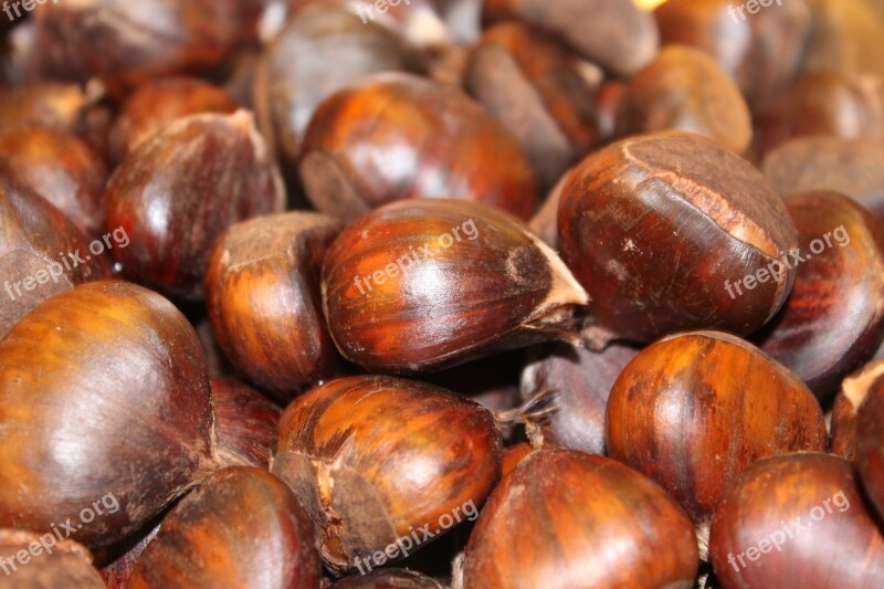 Boiled Chestnuts Cooked Recipe Sweet