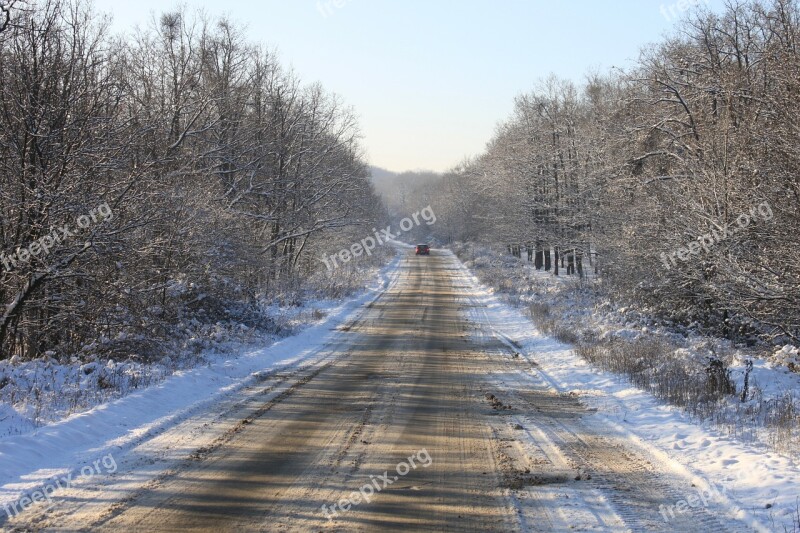 Cold Forest Road Snow Snowy