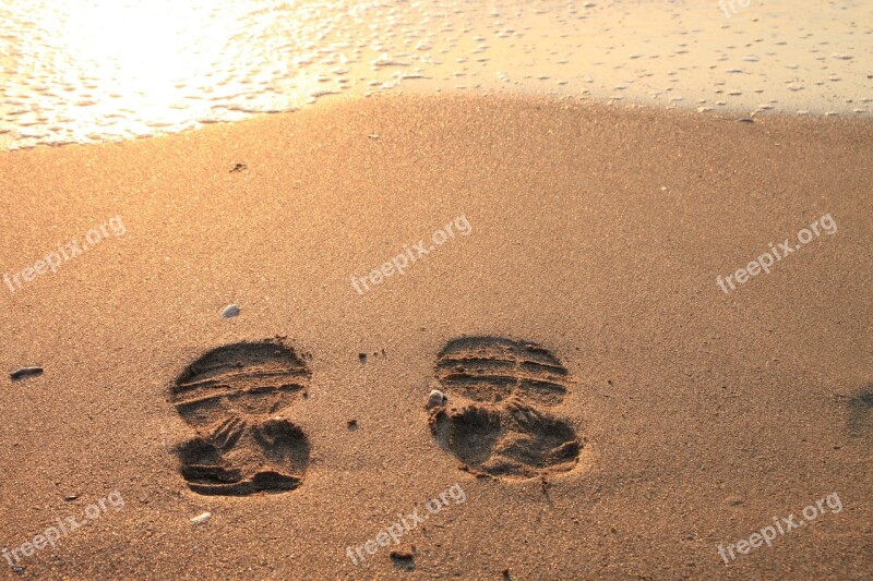 Beach Footprint Sand Water Waves