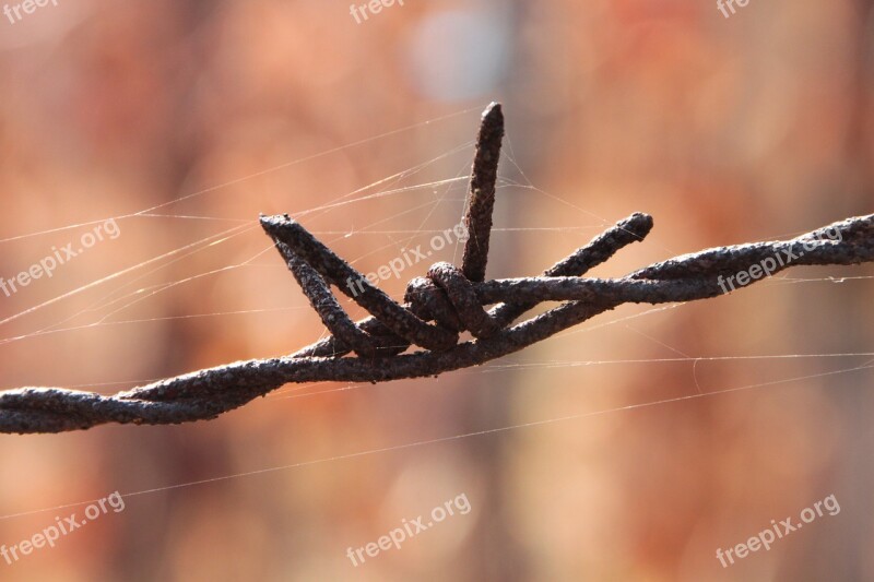 Barbed Close-up Iron Old Rusty