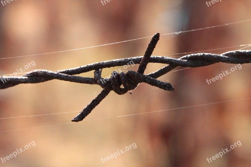 Barbed Close-up Iron Old Rusty