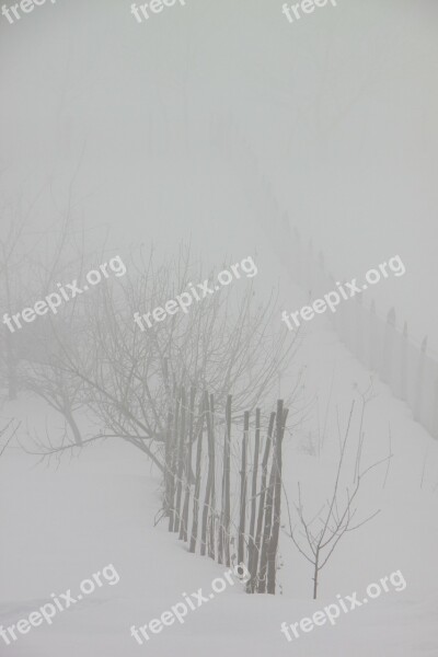 Cold Fog Mist Morning Snow