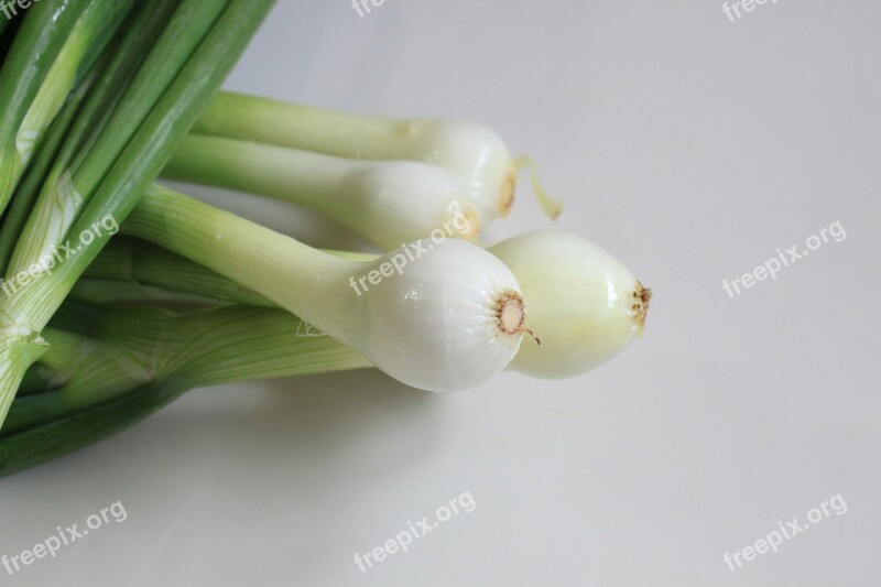 Allium Bunch Cepa Green Healthy