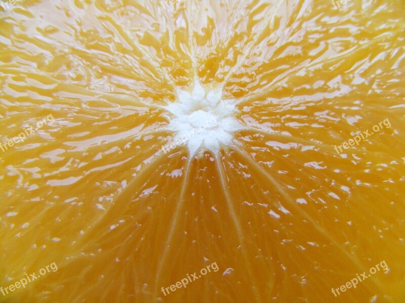 Nature Fruits Vegetables Orange Ornage