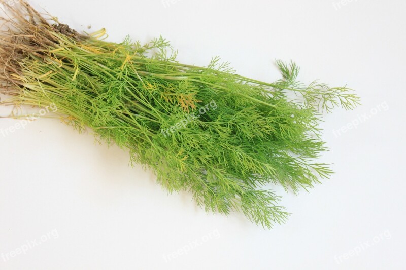 Branch Dill Flavor Fresh Green