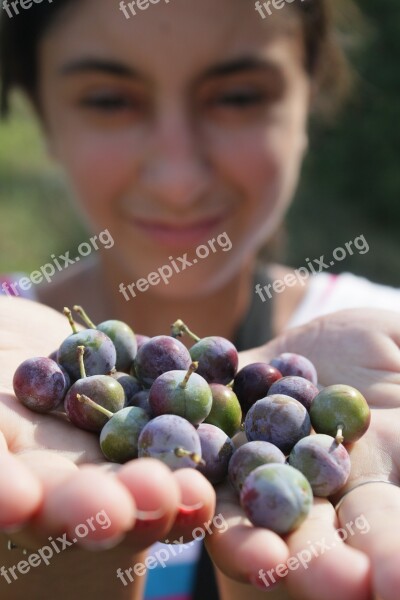 Berries Blackthorn Blue Blueberries Girl