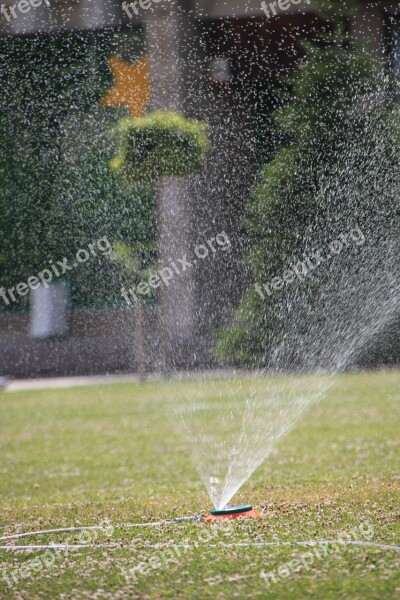 City Garden Grass Green Heat