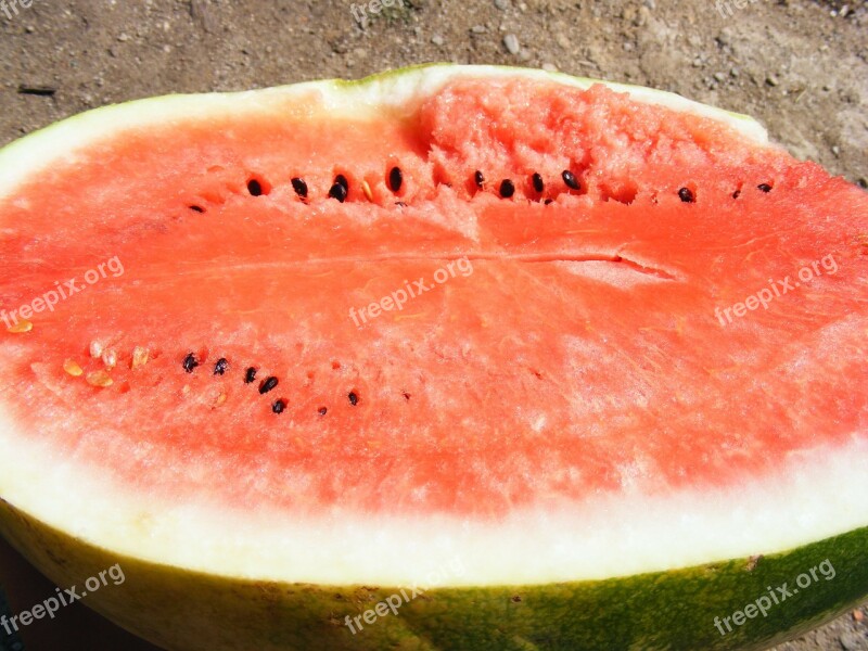 Nature Fruits Vegetables Water Melon