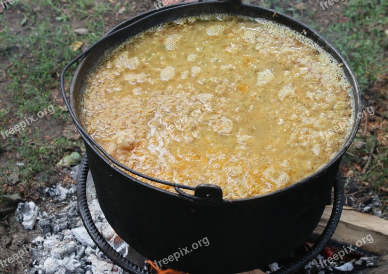 Cabbage Cooked Forcemeat Kettle Leaves