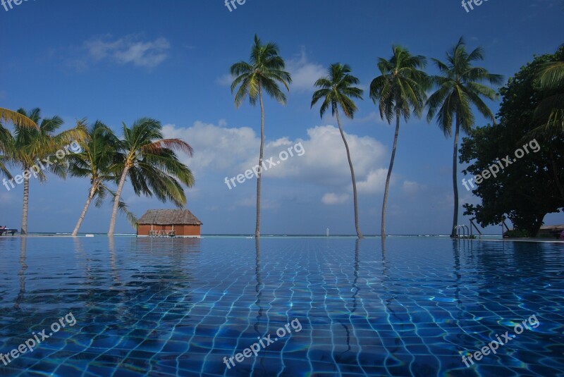 Blue Exotic Island Maldives Ocean