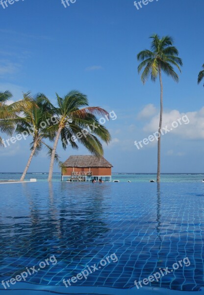 Blue Exotic Island Maldives Ocean