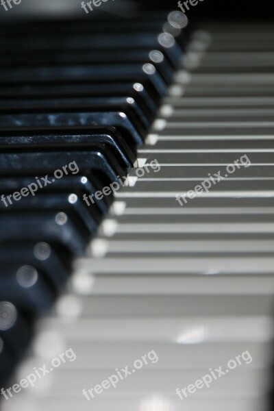 Audio Close-up Electronic Keyboard Music