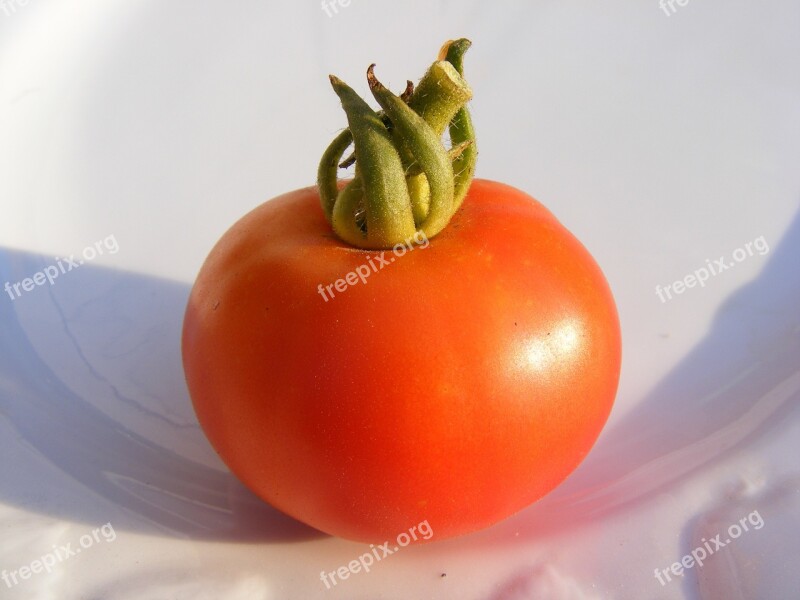 Nature Fruits Vegetables Tomatoes Red