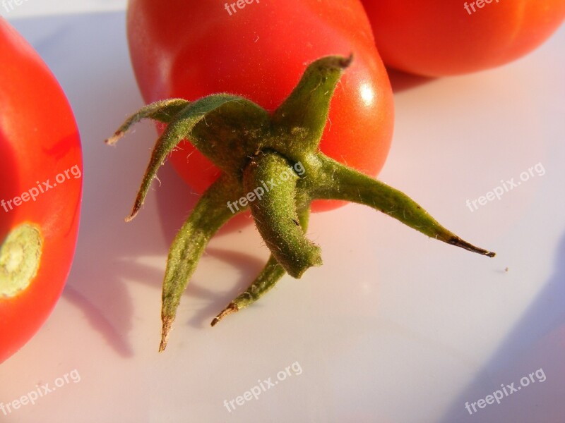 Nature Fruits Vegetables Tomatoes Red