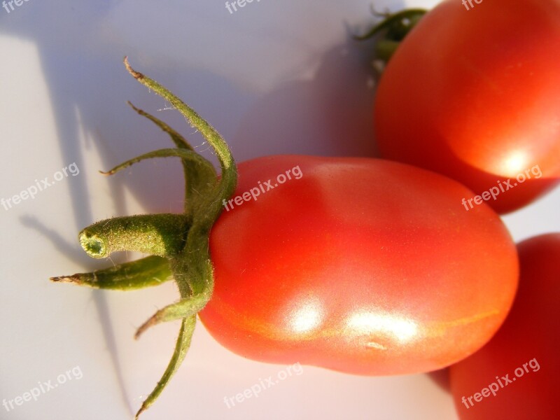 Nature Fruits Vegetables Tomatoes Red