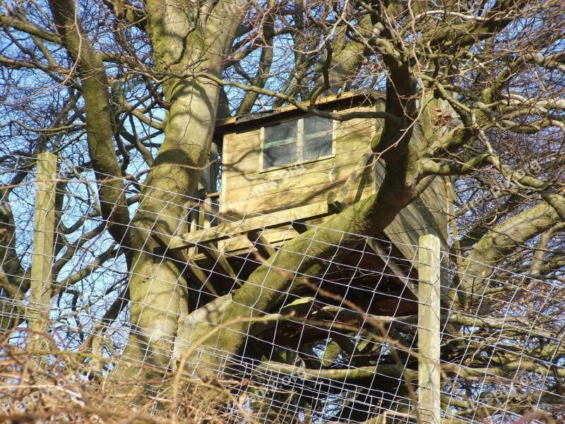 Treehouse Woodhouse Tree Trees Sky