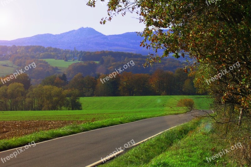 Autumn Brown Fall Foliage Siebengebirge Free Photos