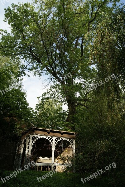 Garden Tree Trees Outdoor Idyll