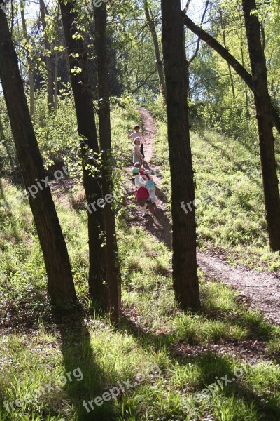 Trees Silhouettes Children Trail Free Photos